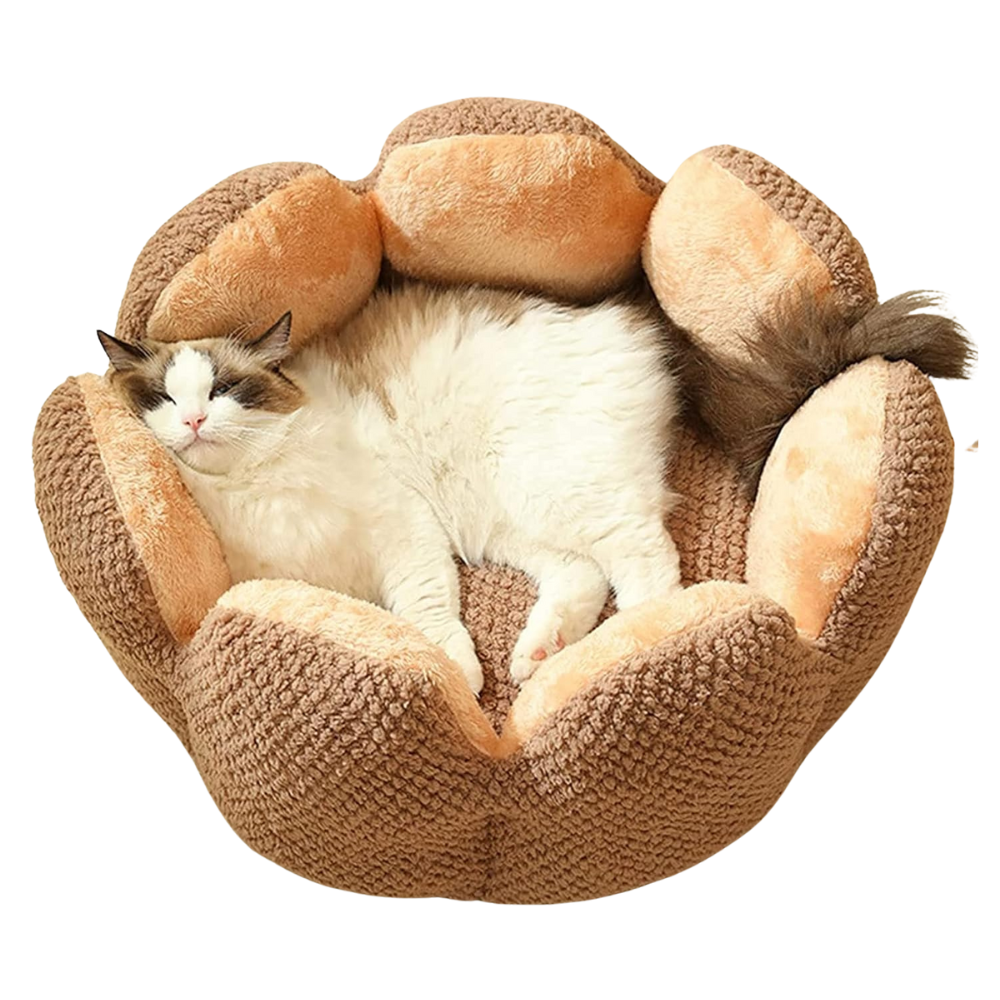 Katten Bloembed | Slaapplek