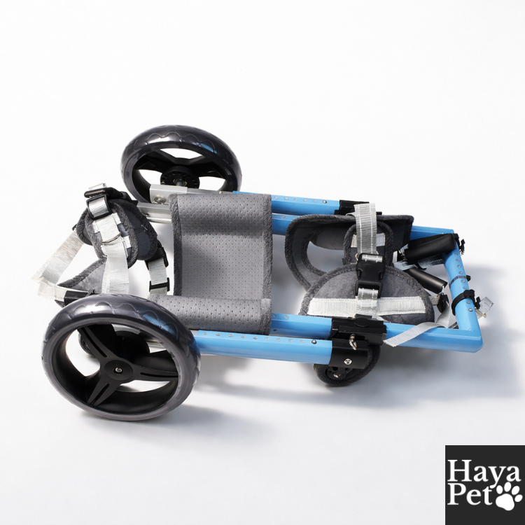 Foldable Dog Wheelchair With Adjustable Frame