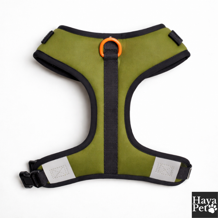 Sportief Gevoerd Hondenharnas Met Verstelbare Pasvorm