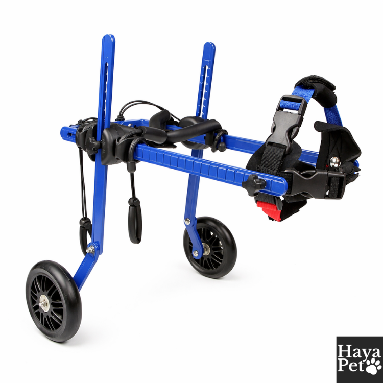 Mini Hondenrolstoel Voor Achterpootondersteuning