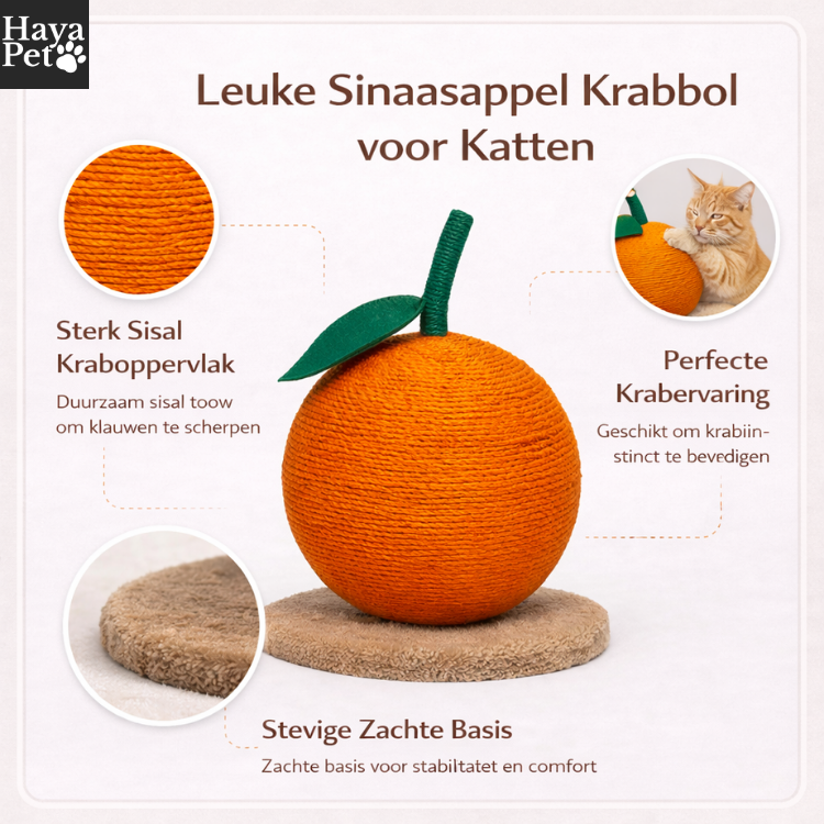 Oranje Krabbal Voor Katten Met Verhoogde Speelstang
