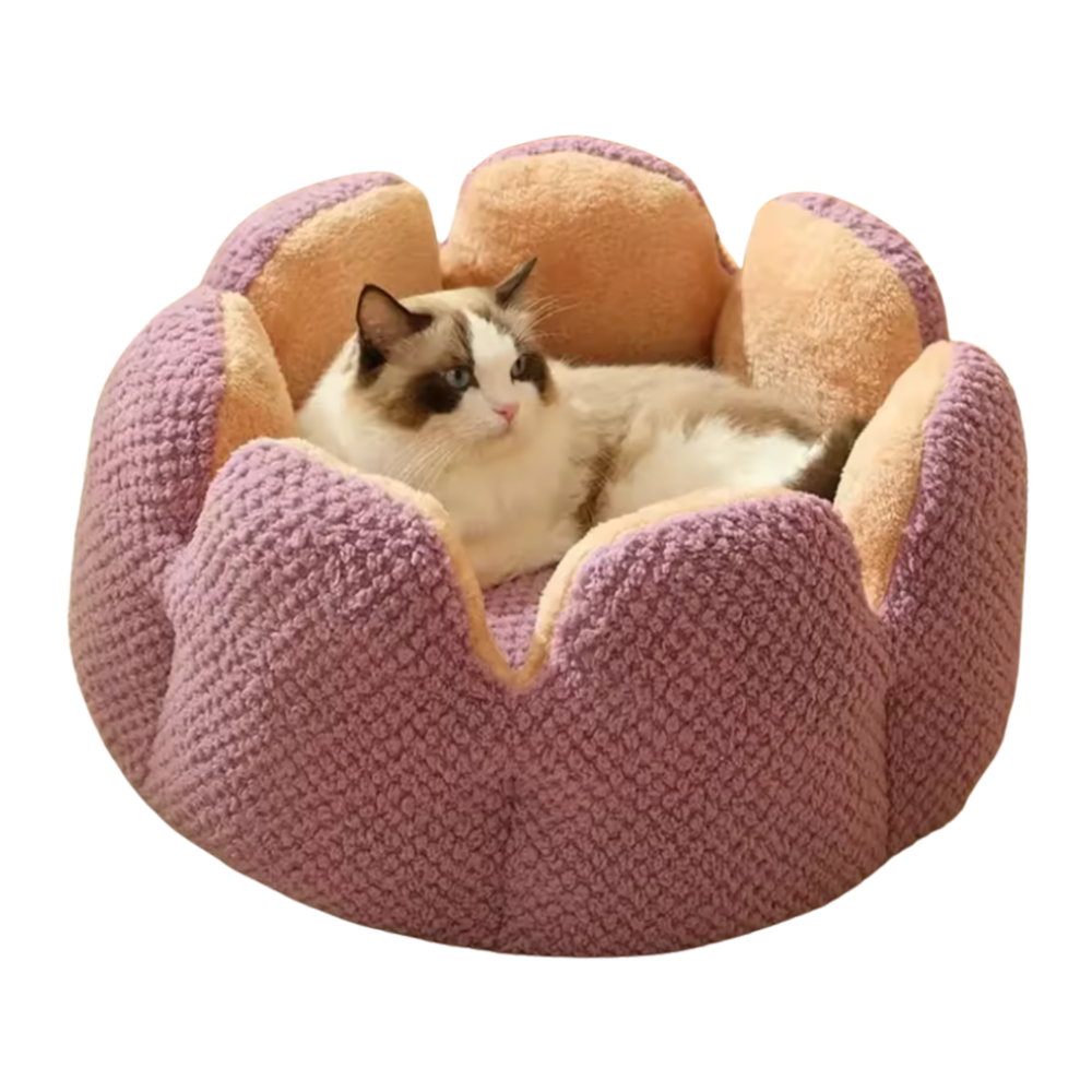 Katten Bloembed | Slaapplek