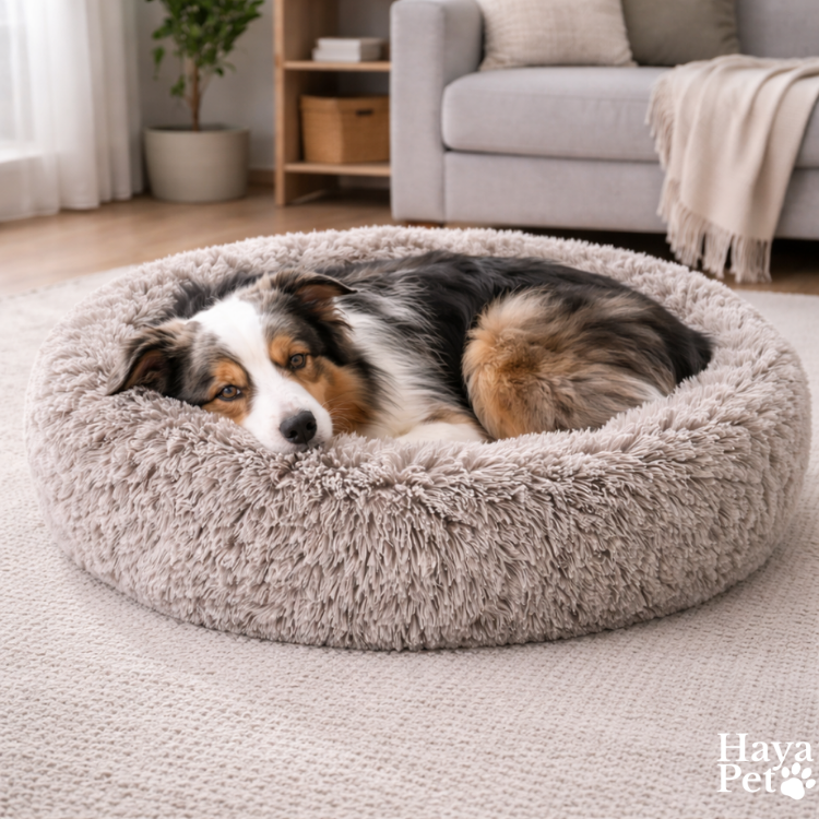 Rond Hondenbed Met Opstaande Rand En Antislipbodem