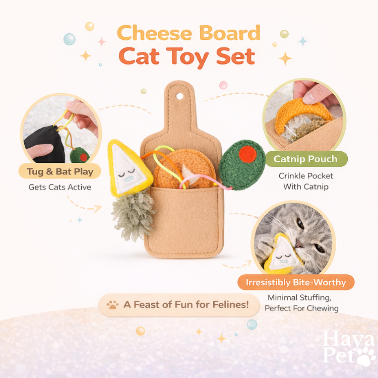 Kattenspeelgoed Duo Set