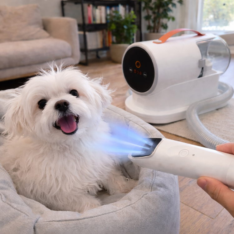 Huisdieren Verzorgingsapparaat Met Vacuüm En Opzetstukken