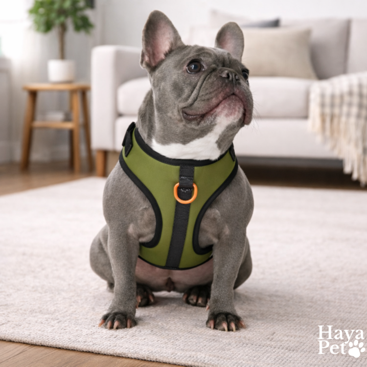 Sportief Gevoerd Hondenharnas Met Verstelbare Pasvorm