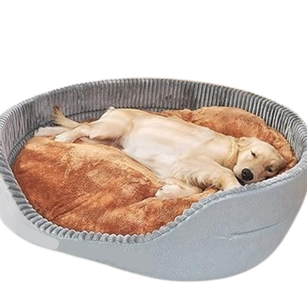 Honden Massief Wasbaar Bed | Voor Grote Honden