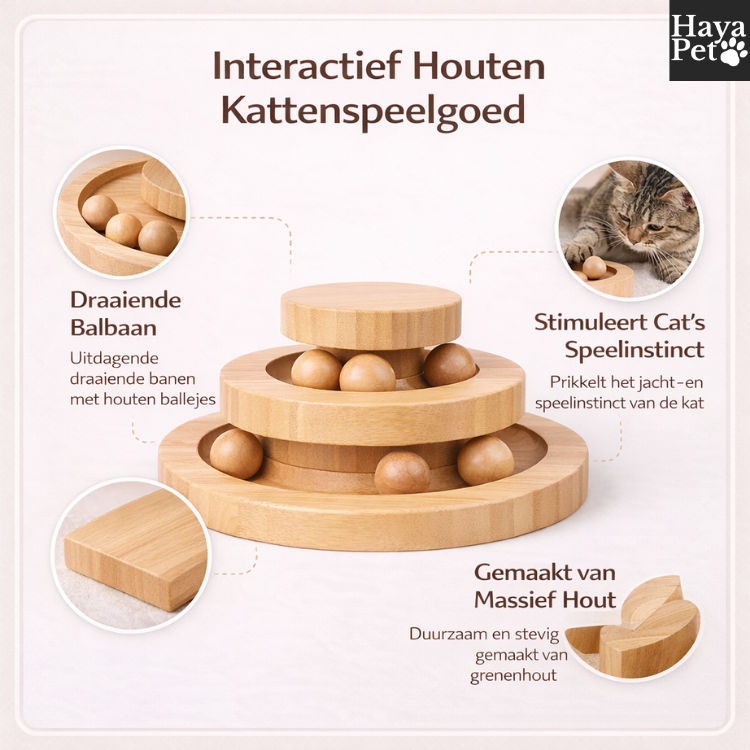 Kattenspeeltje Met Ronde Ballenbaan