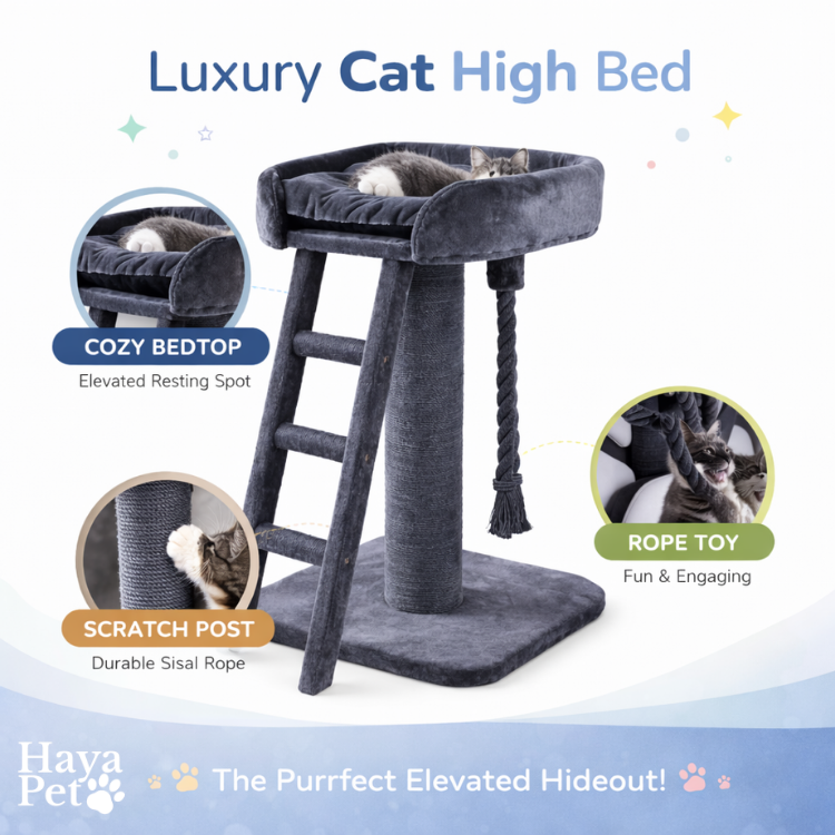 Verhoogd Kattenbed Met Ladder | Antraciet