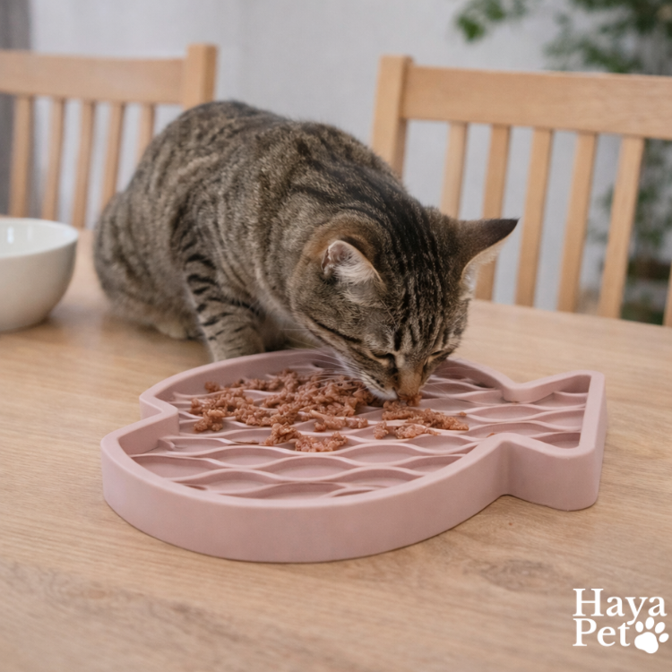 Katten Speelkussen In Visvorm