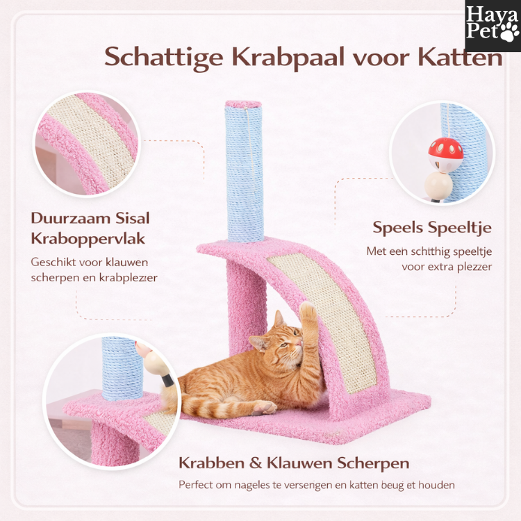 Krabpaal Voor Katten Met Houten Basis