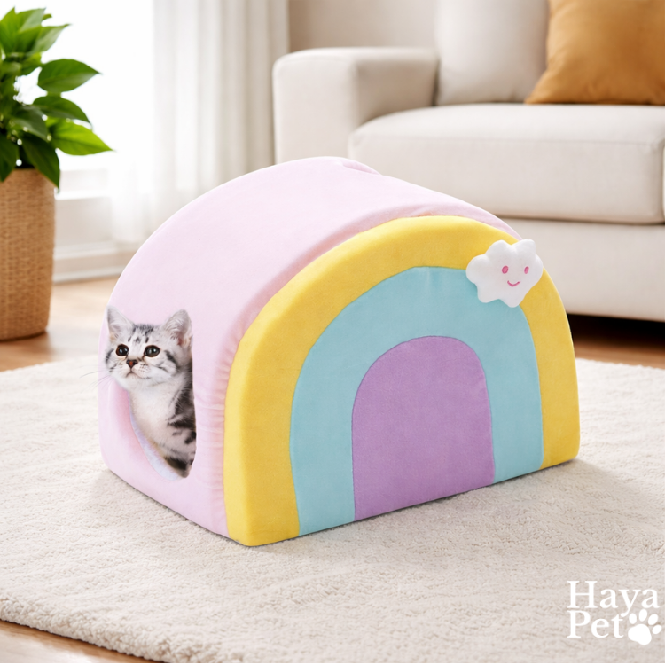 Pink Cat House With Rainbow Design