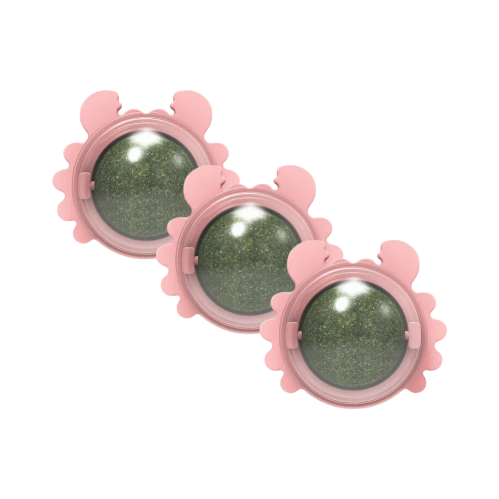 Catnip Snack Ball Catnip Ball with Catnip Stimulates Energy & Reduces Stress