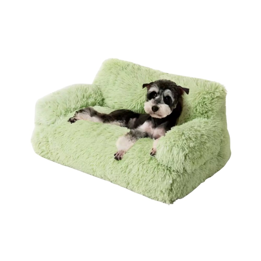 Honden Verhoogd Bed | Wasbare Bank voor Kleine Huisdieren