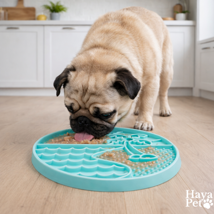 Ronde Likvoerbak Voor Honden Met Opstaande Rand