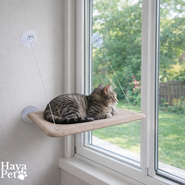 Raam Kattenbed Met Uitzicht | Zandkleur