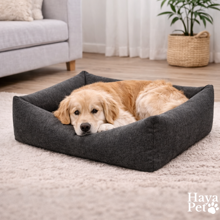 Hondenbed Met Opstaande Randen En Afneembare Hoes