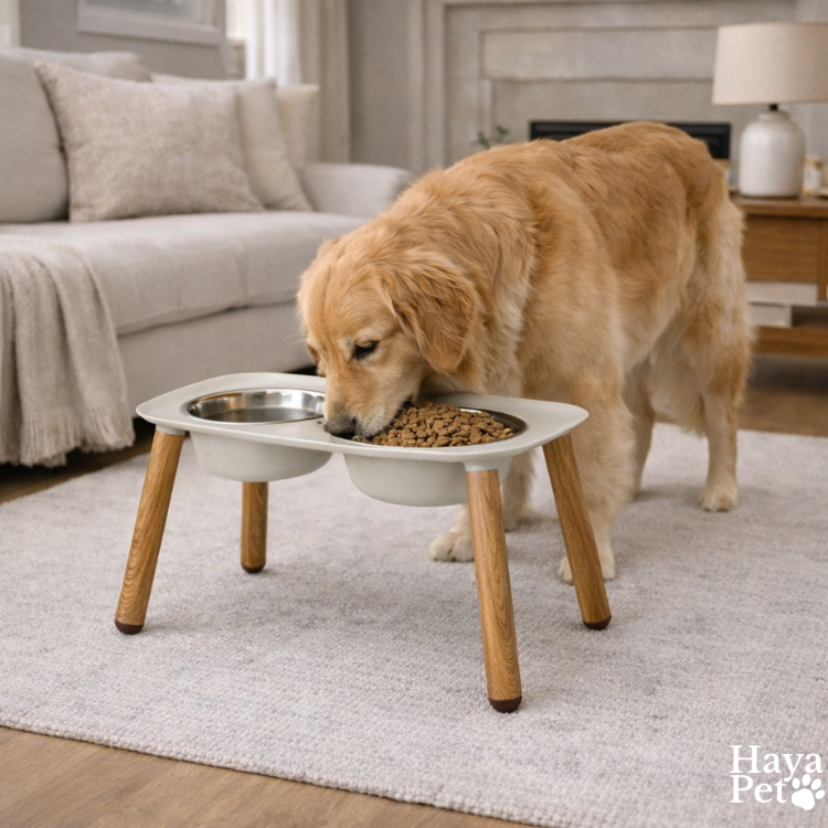 Verhoogde Dubbele Hondenvoerbak Met Verstelbare Hoogte