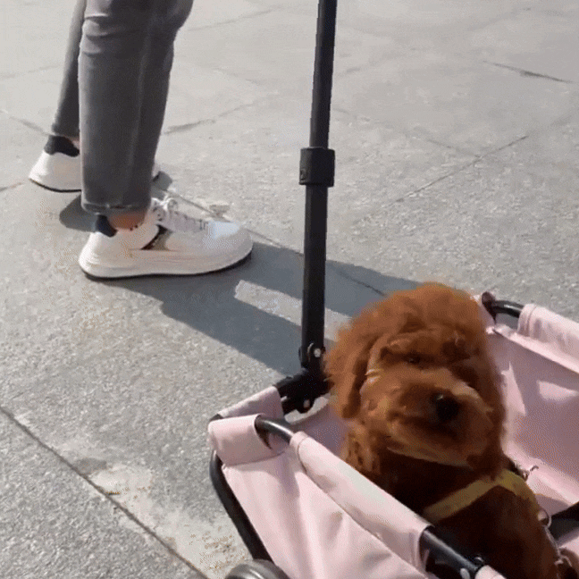 Mini Buggy Voor Huisdieren Inklapbare Buggy Met Comfortabele Zitruimte