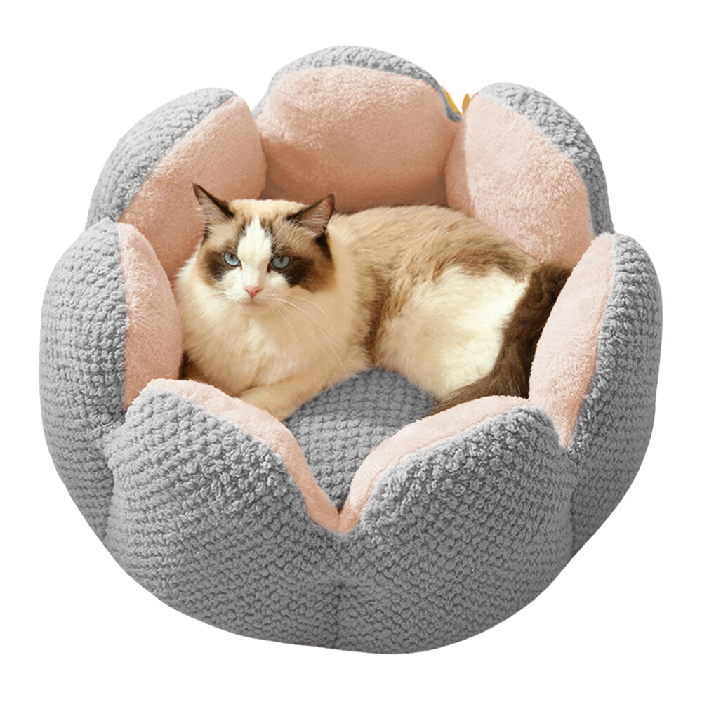 Katten Bloembed | Slaapplek