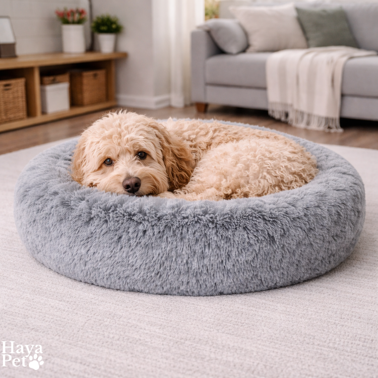 Zilvergrijs Hondenbed Met Opstaande Rand En Antislipbodem