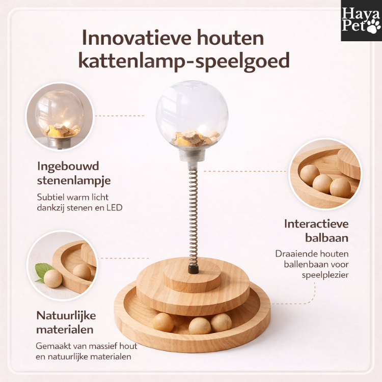 Kattenspeeltje Met Ballenbaan En Veer