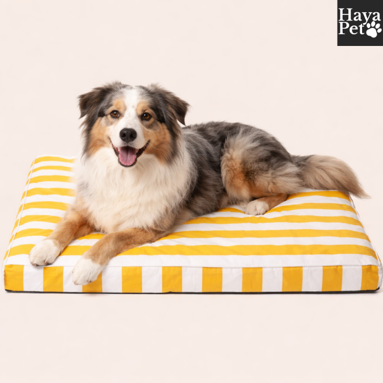 Buiten Hondenbed Met Antislipbodem En Draaggreep