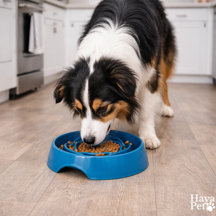 Ronde Anti-Schrok Voerbak Voor Honden Met Bloempatroon