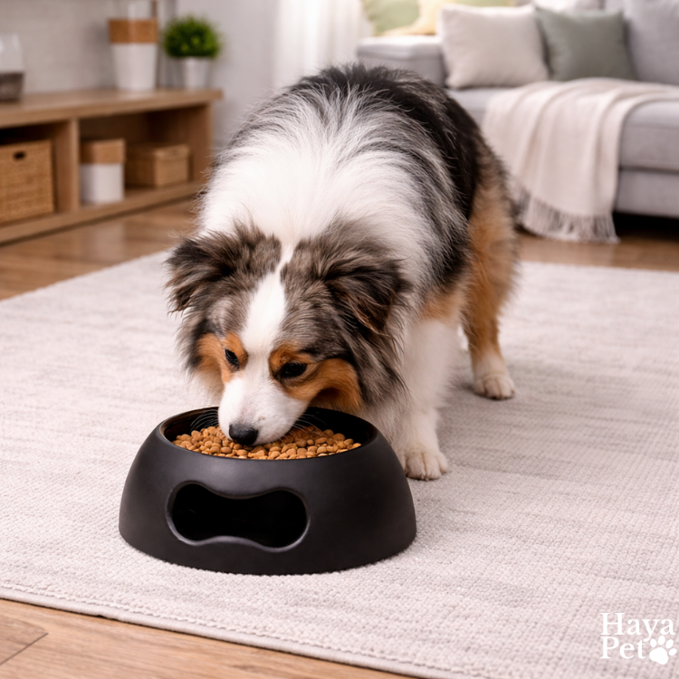 Zwarte Hondenvoerbak Met Antislipbodem