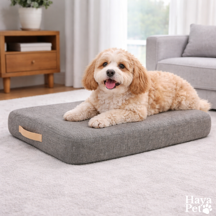 Dog Rest Bed | Dove Gray