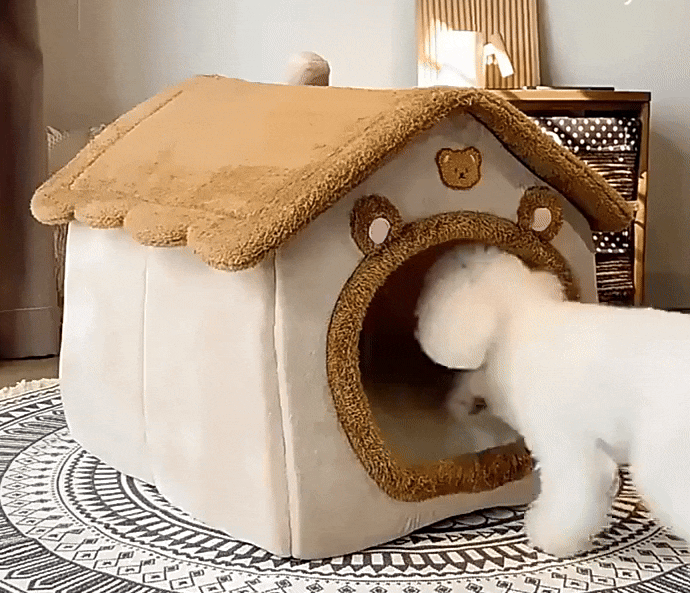 Cat Cozy House | Indoor