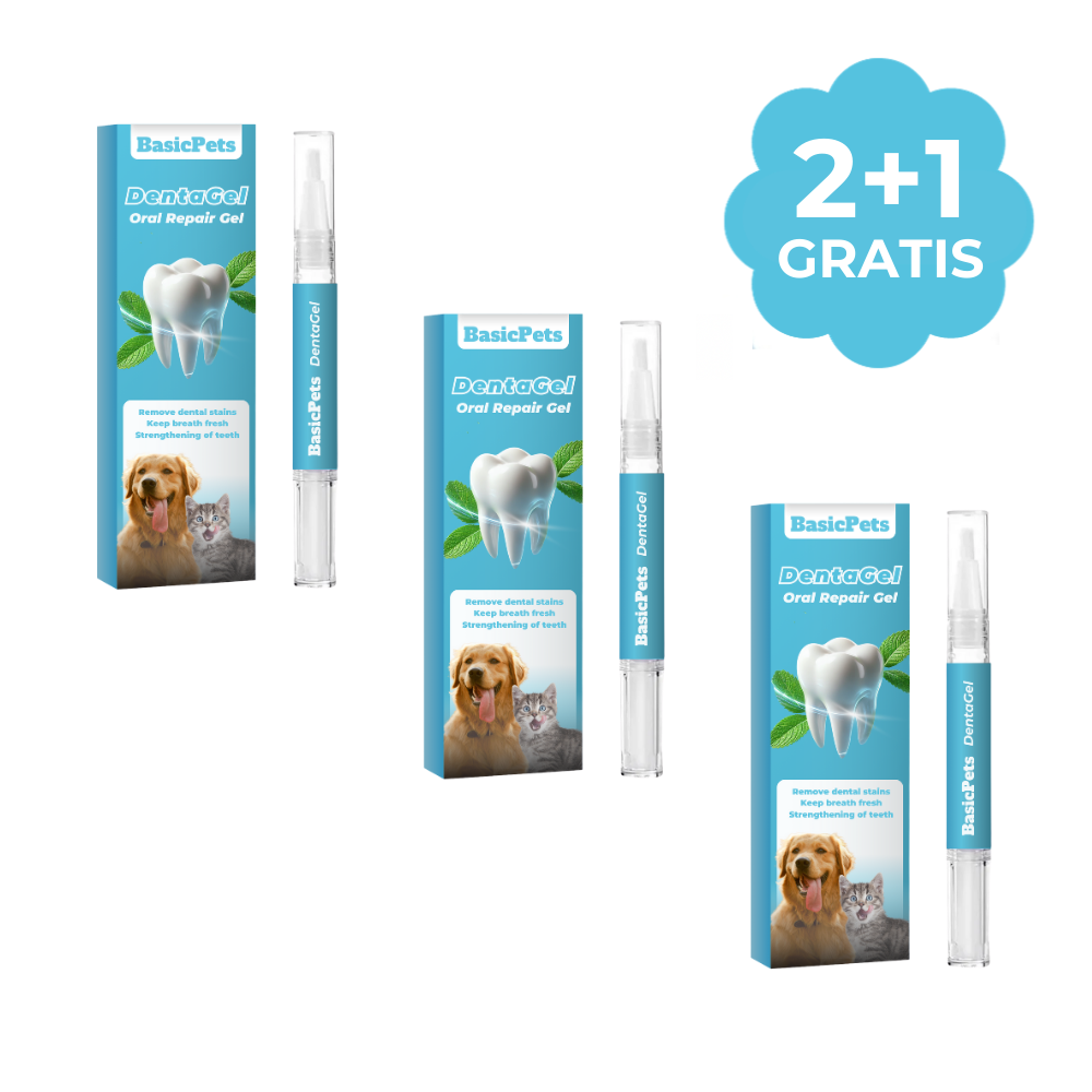 Natuurlijke Tandverzorging Voor Honden Gezond Gebit, Frisse Adem Met Natuurlijke Ingrediënten