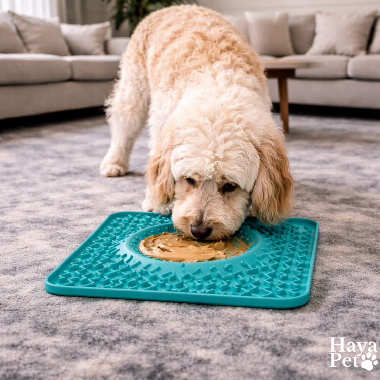 Likmat Met Middenkom Voor Honden