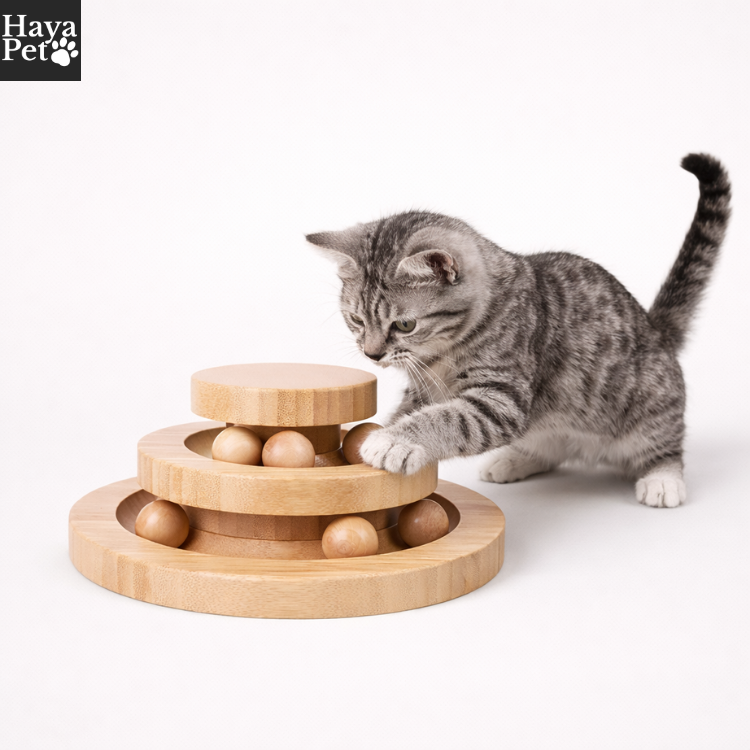 Kattenspeeltje Met Ronde Ballenbaan