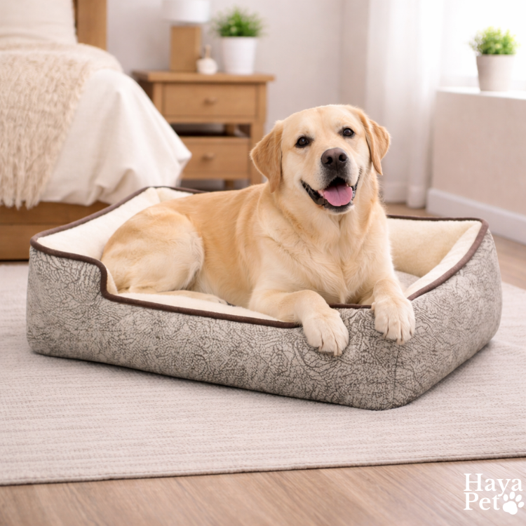 Reversible Lounge Bed For Dogs With Washable Cover