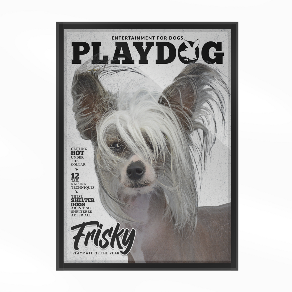 Gepersonaliseerde Huisdier Poster Jouw Kat of Hond op Magazine Cover