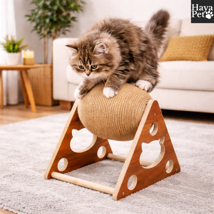 Krabbal Voor Katten In Drie Maten