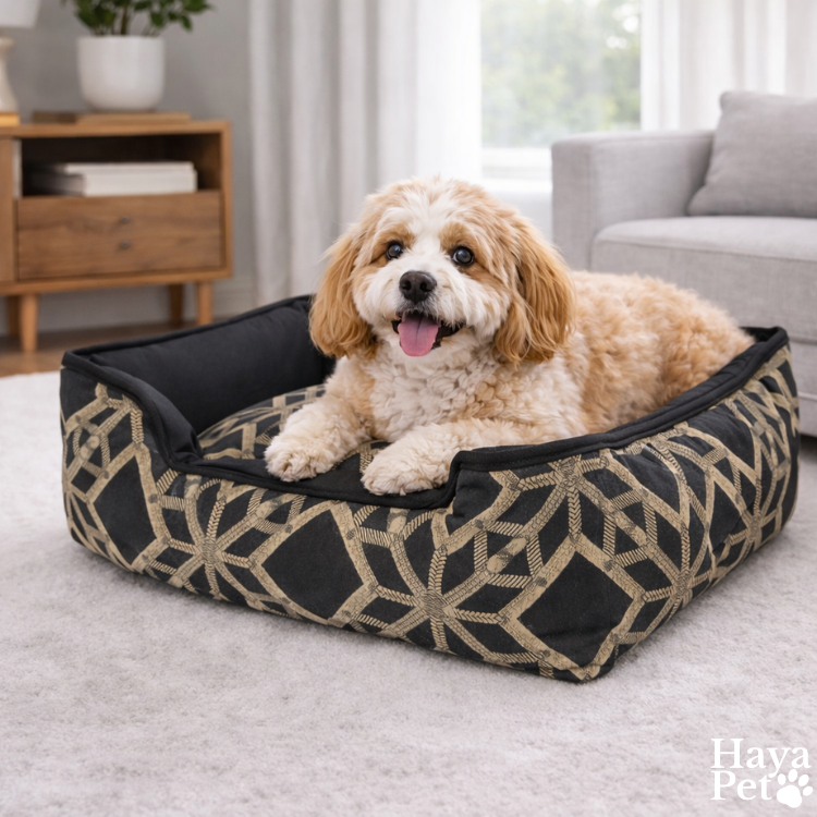 Dog Bed With Sun Pattern