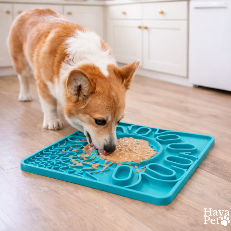 Square Lick Mat For Dogs With Raised Edge