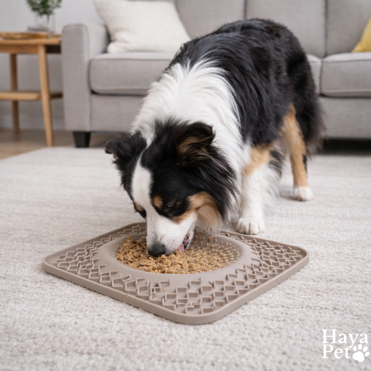 Likmat Met Middenkom Voor Honden