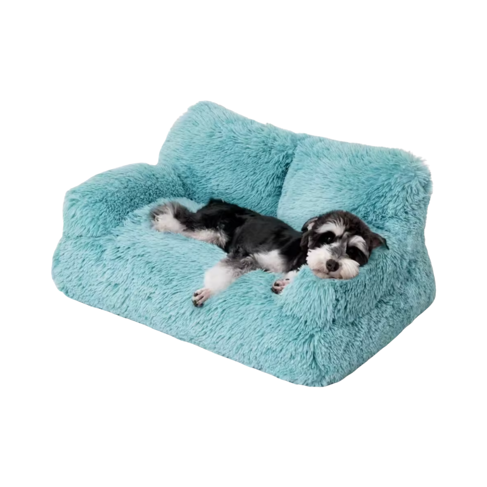 Honden Verhoogd Bed | Wasbare Bank voor Kleine Huisdieren