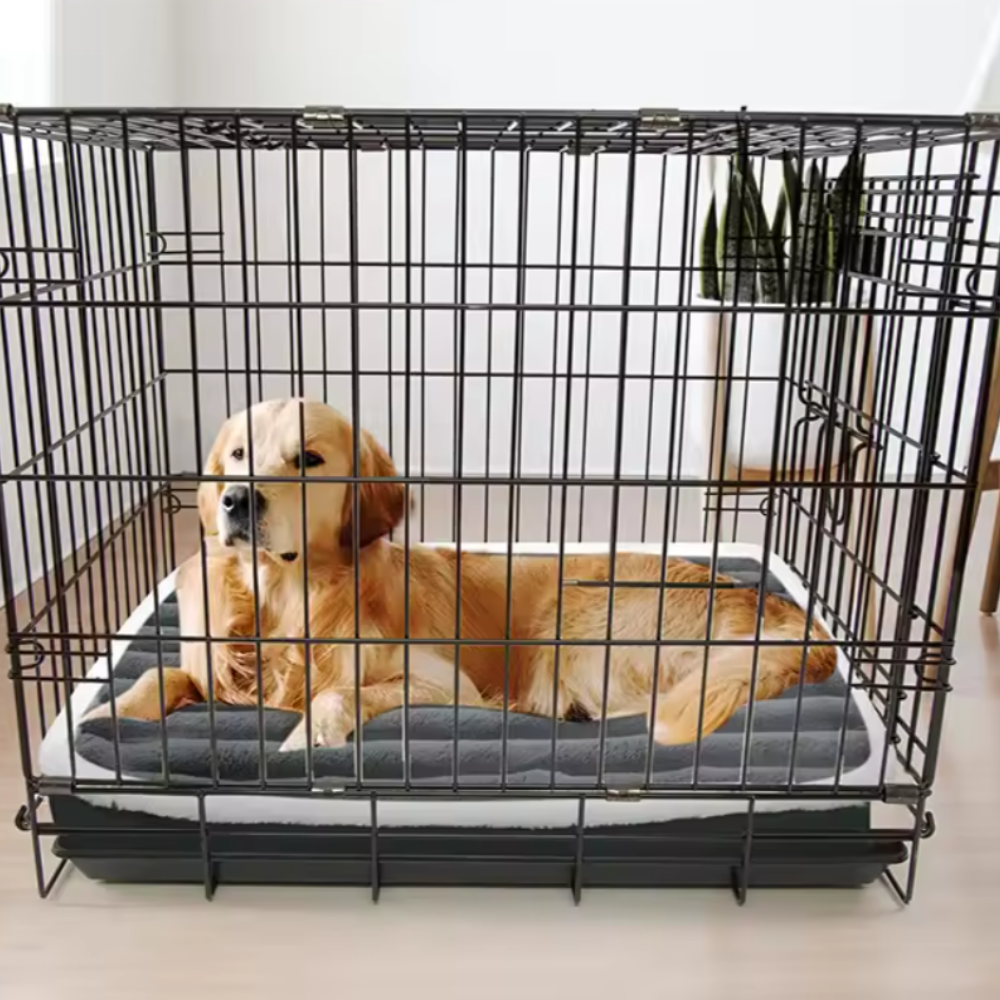 Orthopedic Dog Mattress | Best for Benches
