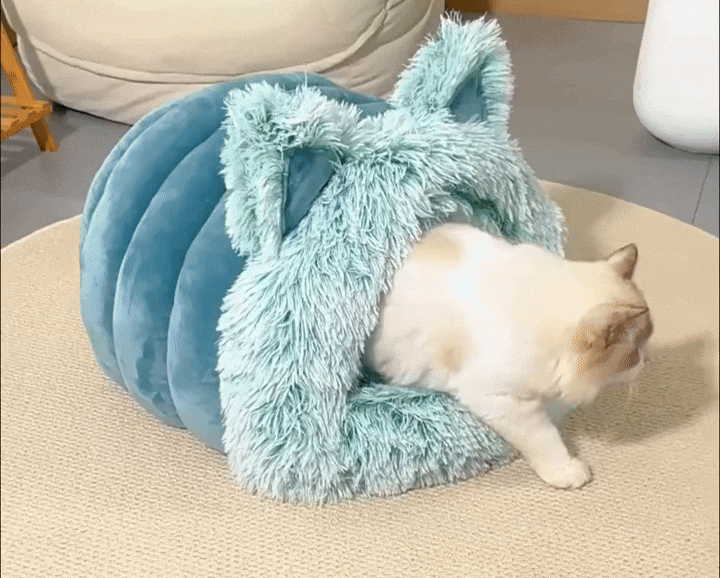 Katten Oren Bed | Bed voor een Kat