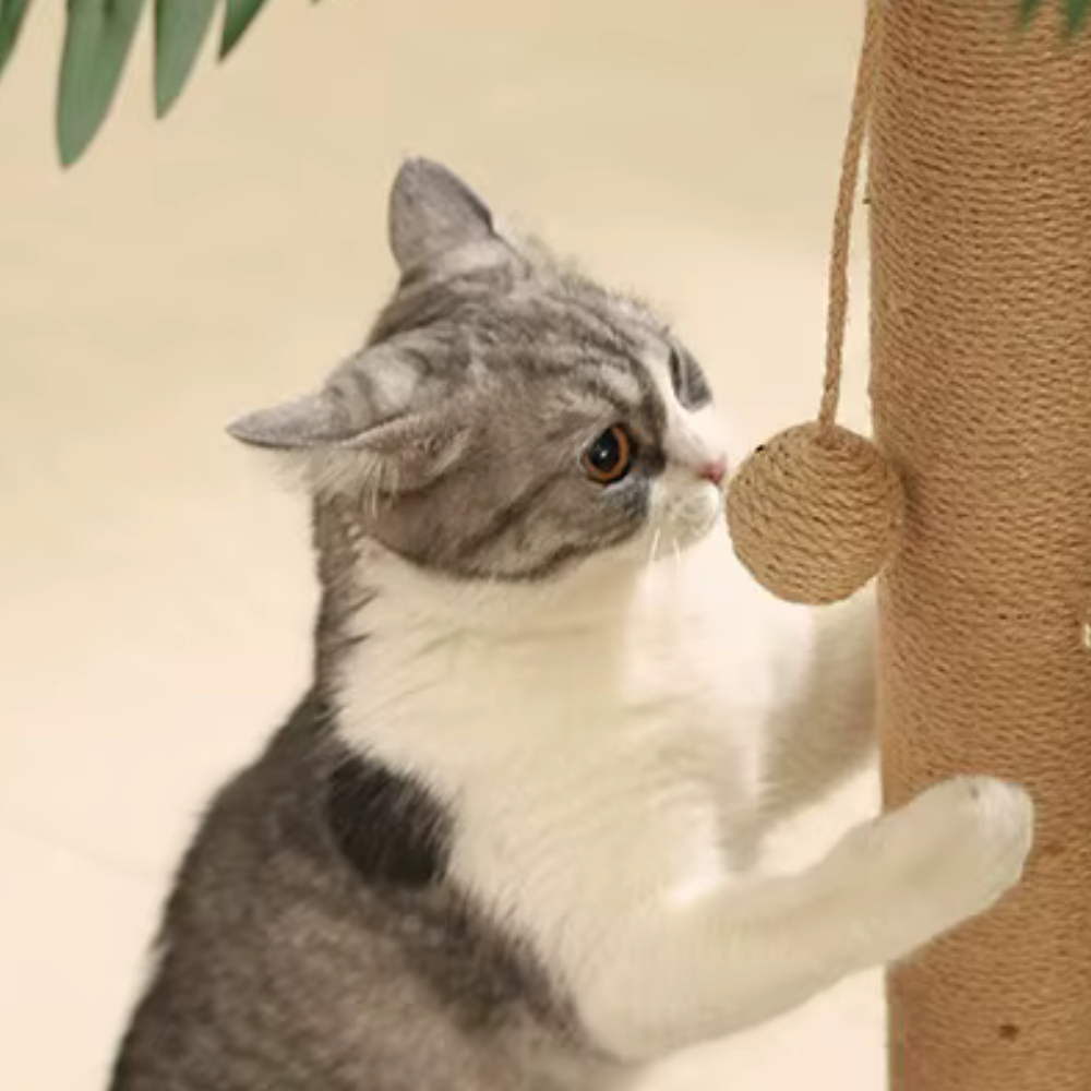 Krabpaal voor Katten | Jungle Avontuur Toren