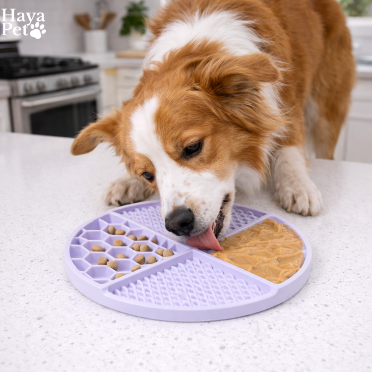 Interactieve Voerpuzzel Voor Honden Met Zuignappen