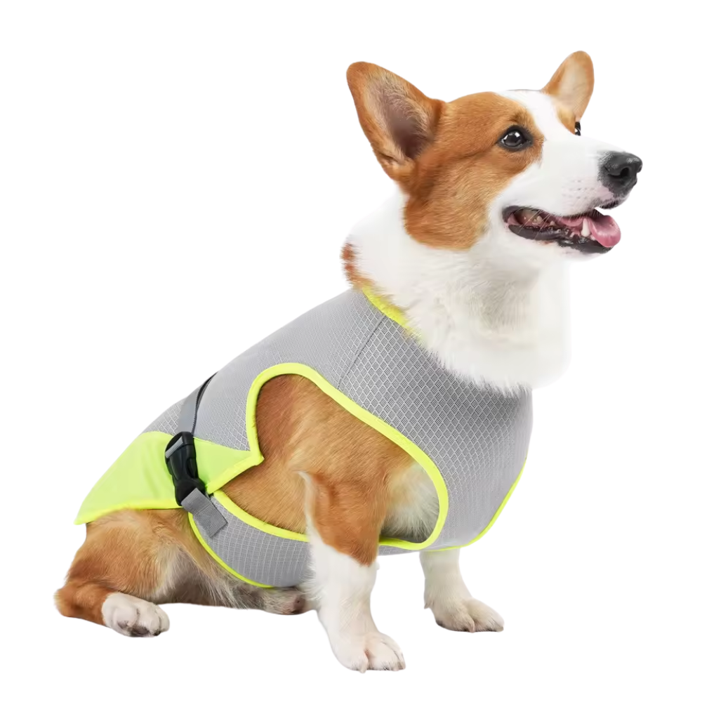 Dog Quick-Drying, Comfortable & Reflective for Safety