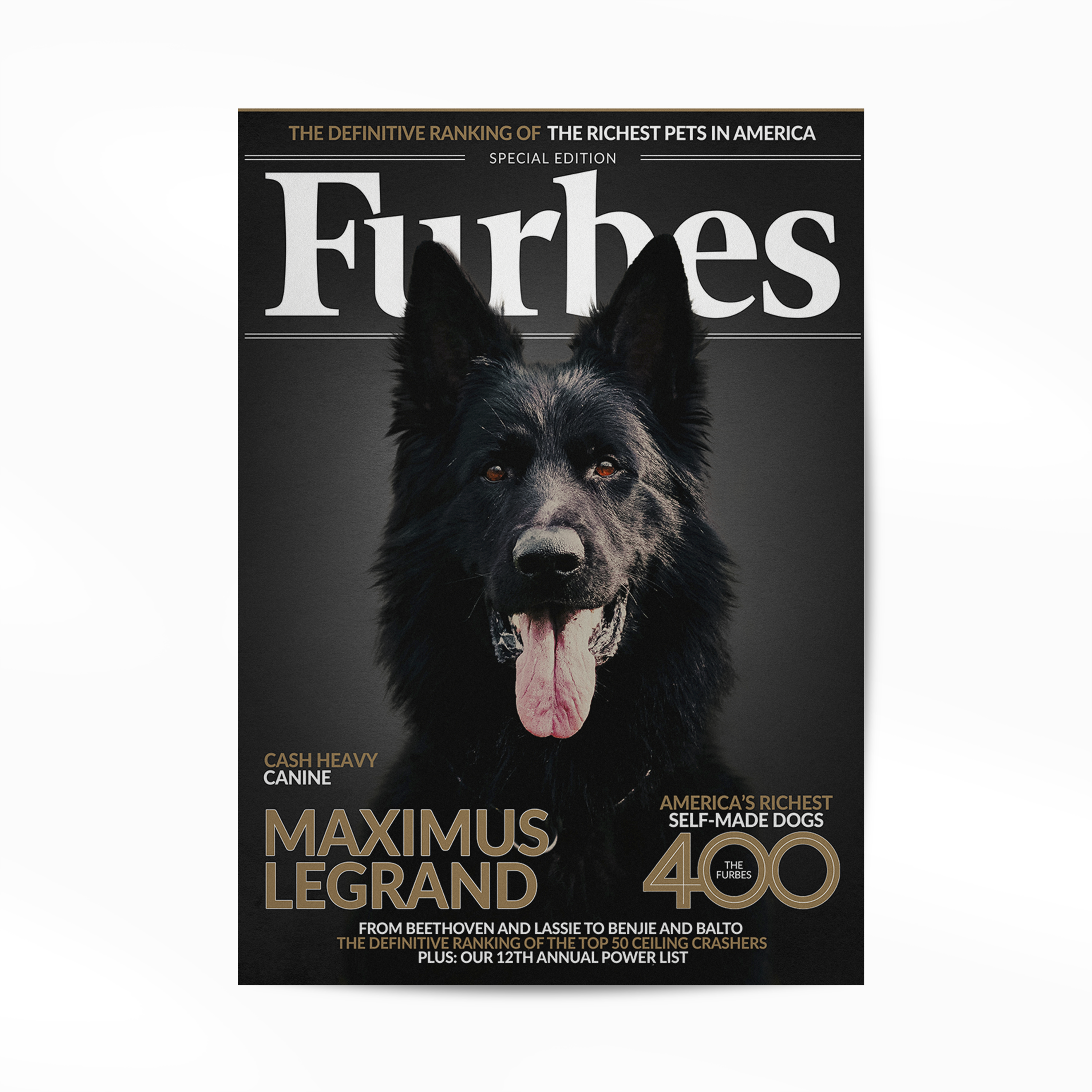 Gepersonaliseerde Huisdier Poster Jouw Kat of Hond op Magazine Cover