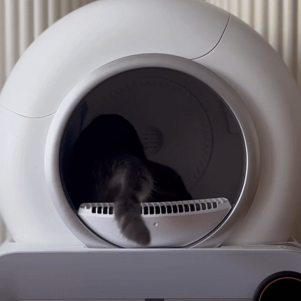 Zelfreinigende Kattenbak Automatische, Stille & Geurvrije Oplossing