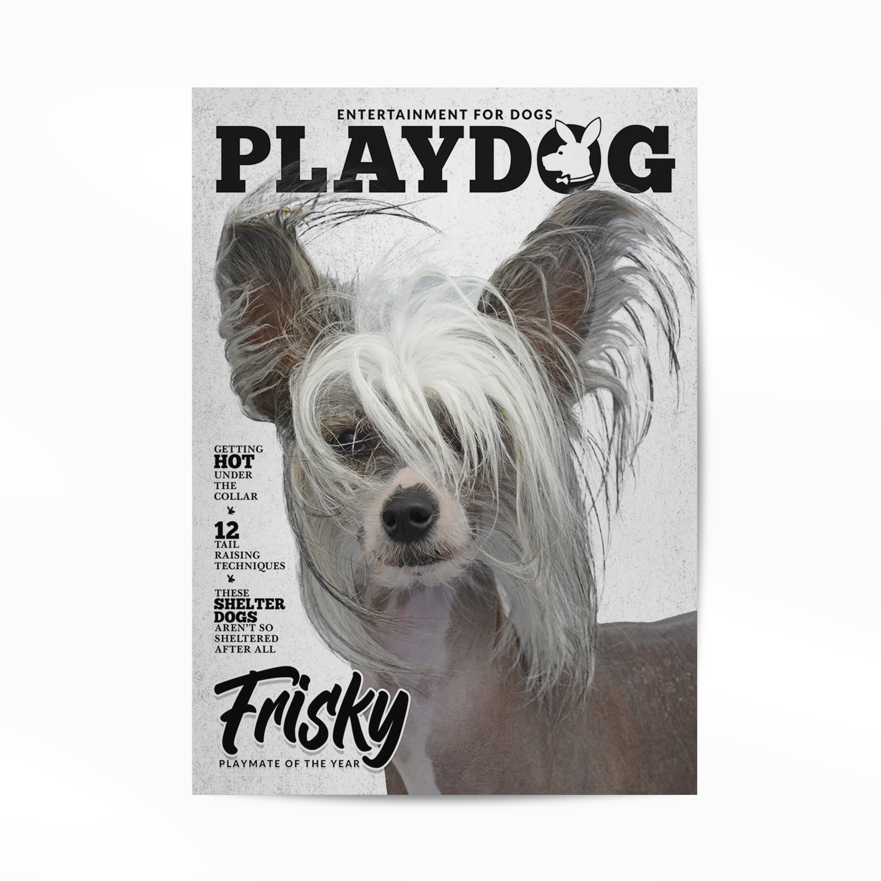 Gepersonaliseerde Huisdier Poster Jouw Kat of Hond op Magazine Cover