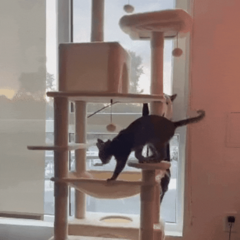 Modern Cat Tower Luxury Cat Tower with Scratching Posts and Comfortable Houses